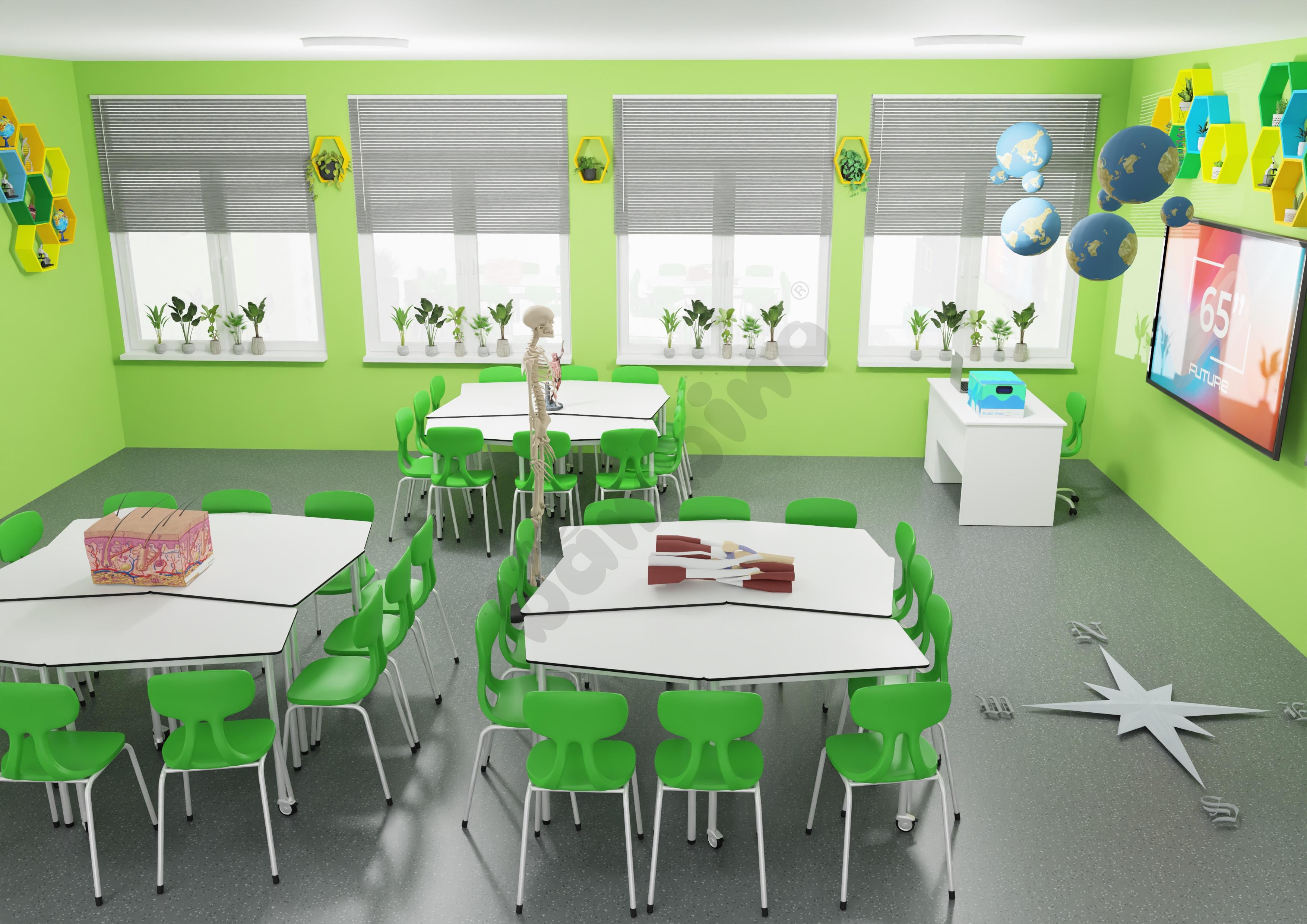 Zielona Pracownia 14