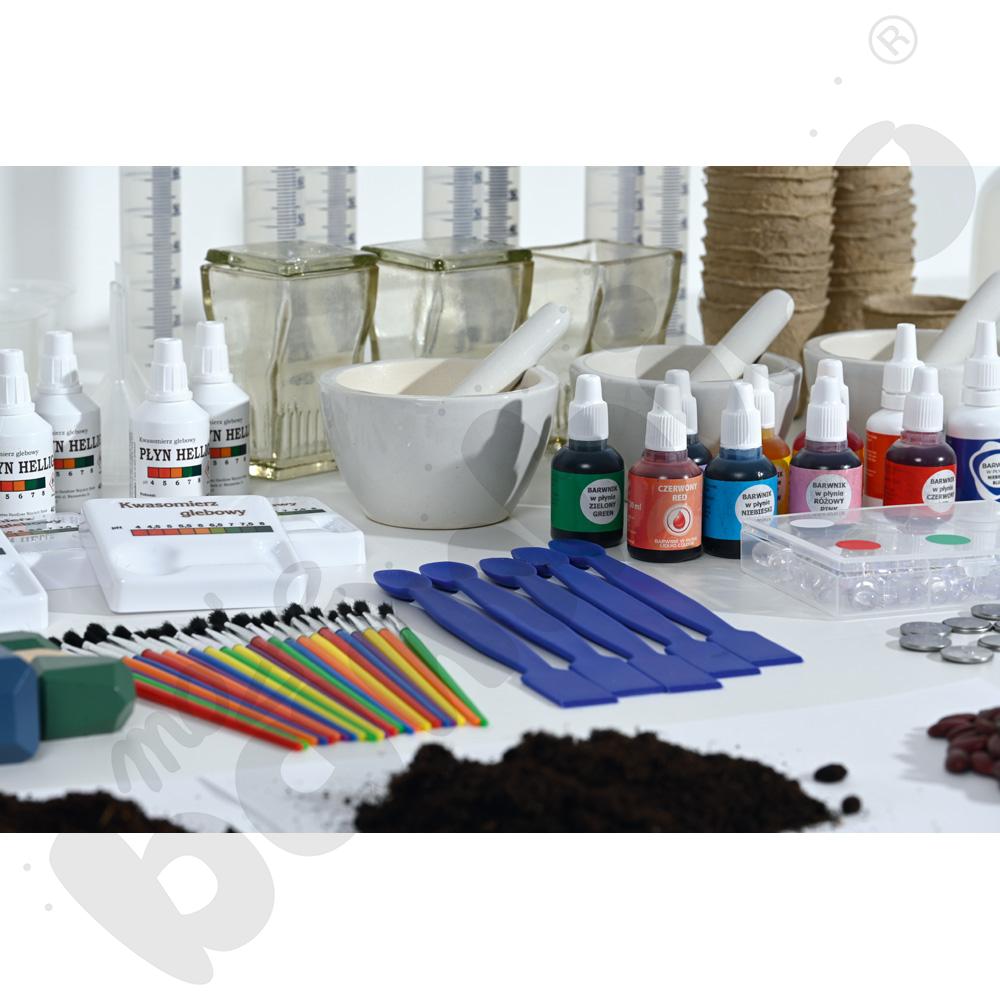 Cztery pory roku. Zestaw STEAM