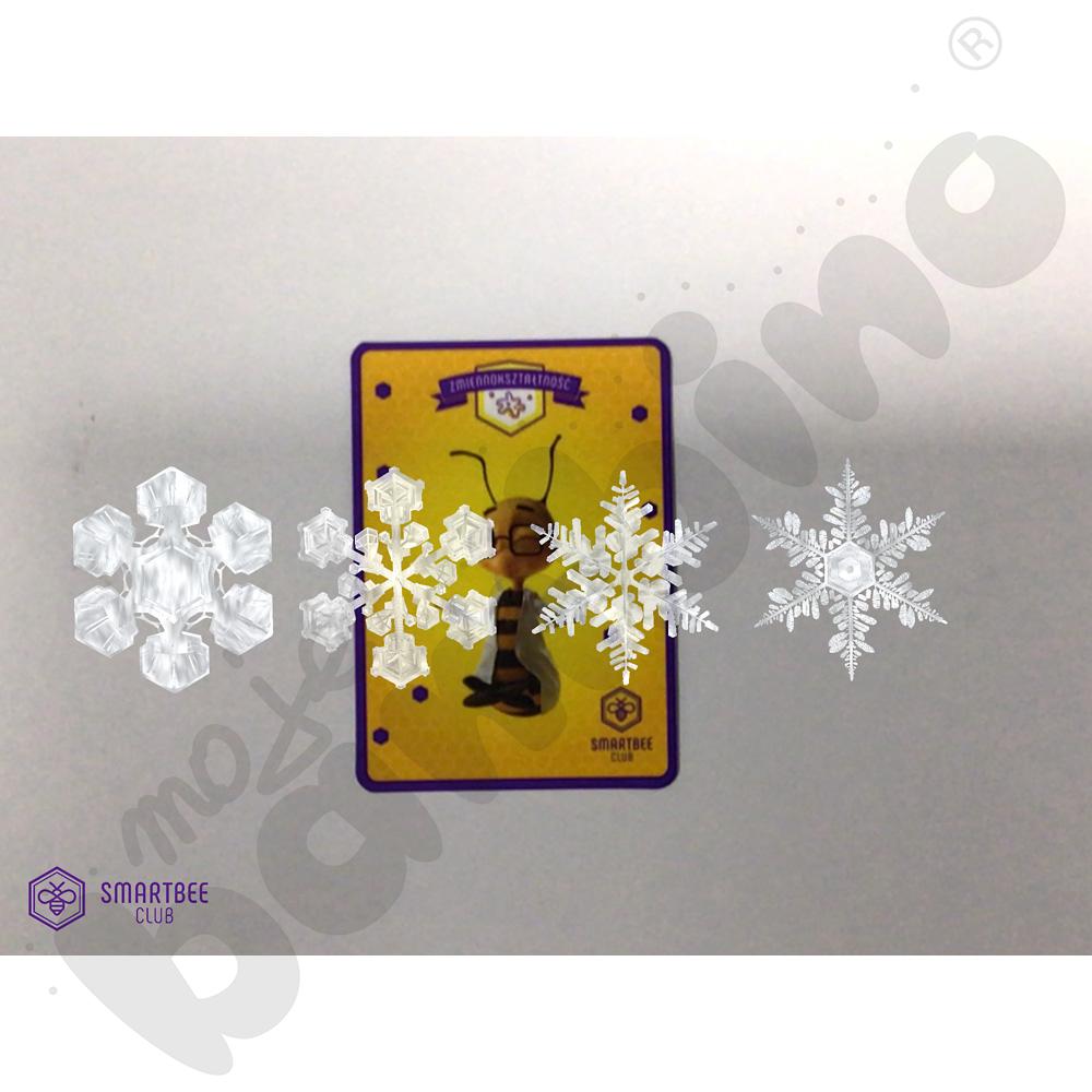 Premium BeeBox Zmiennokształtność - zestaw do eksperymentów