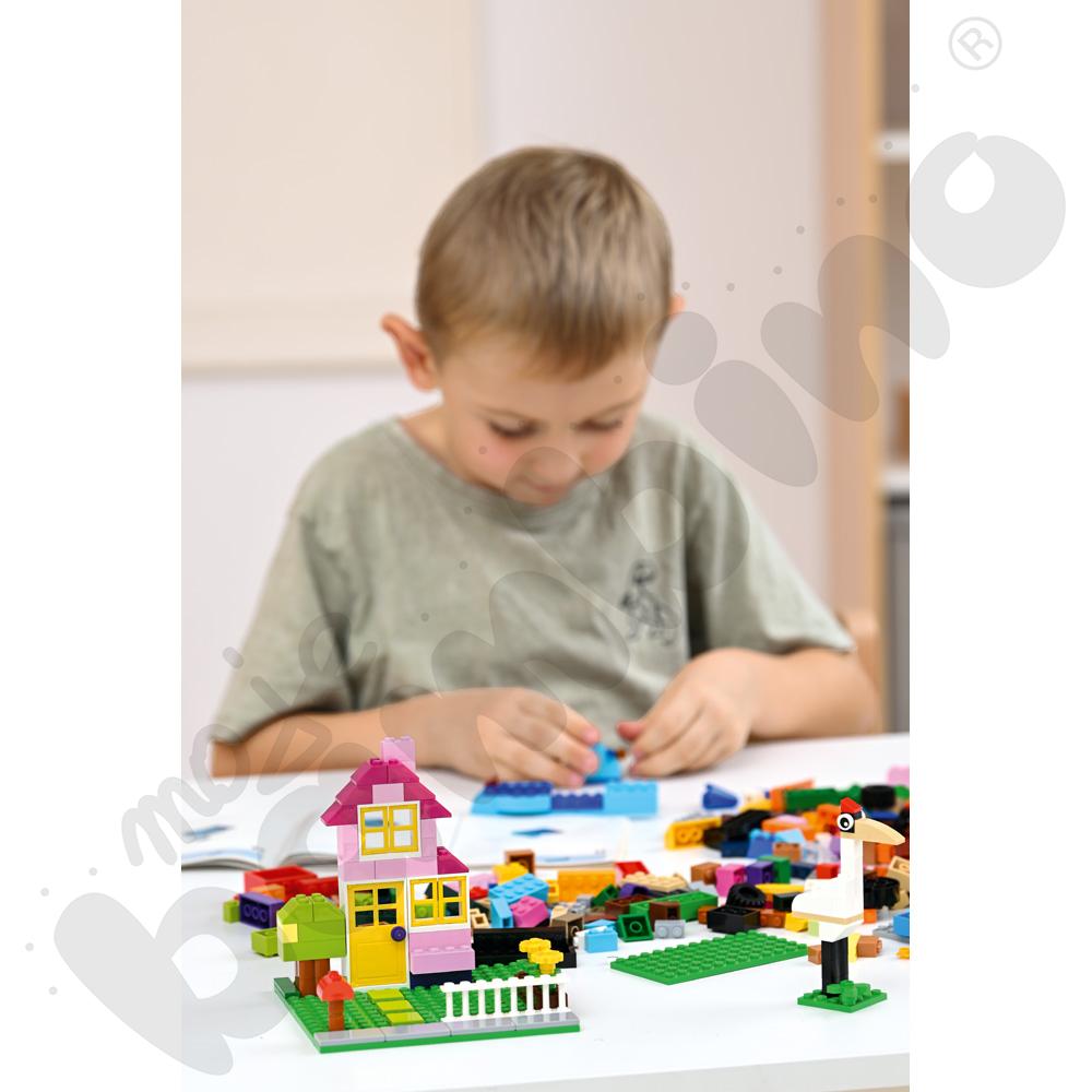 LEGO® Large Creative Brick Set