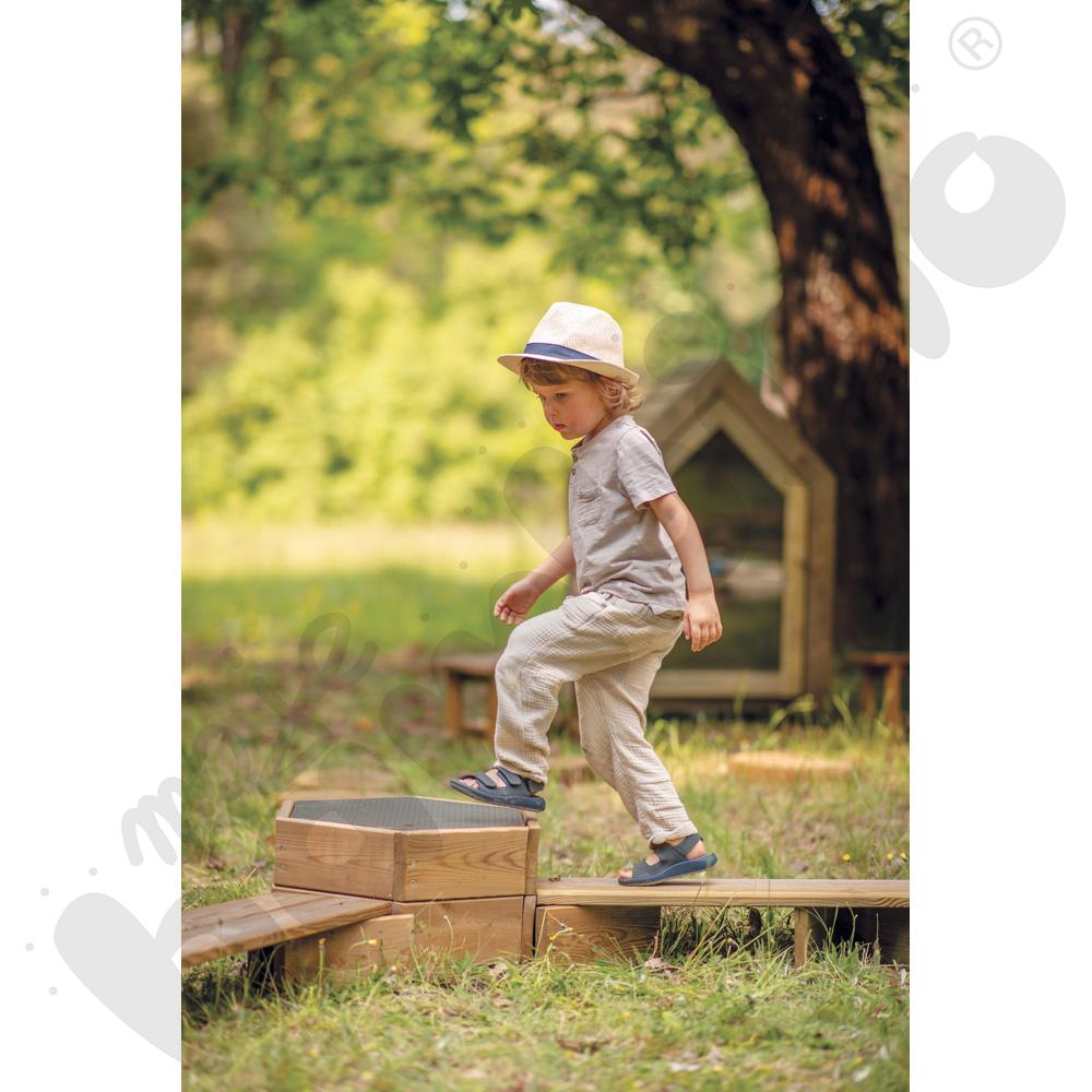 Sześciokąt sensoryczny Terra