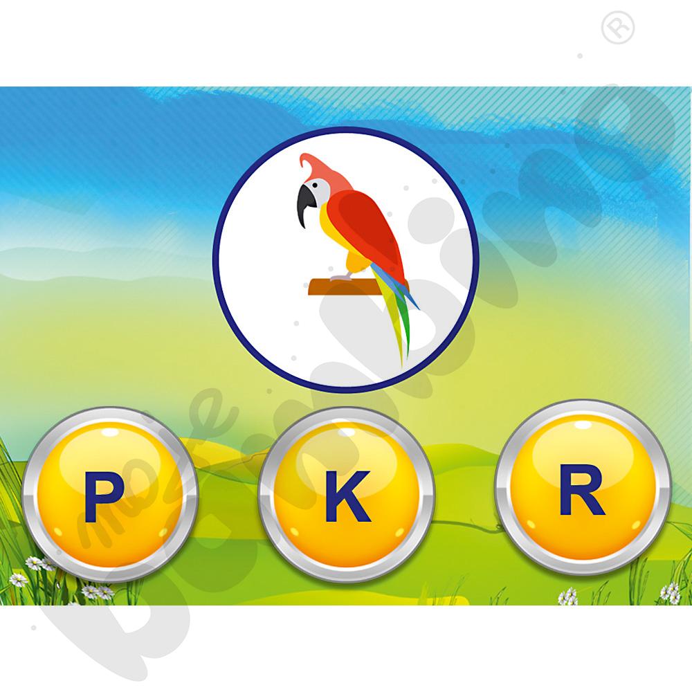 Pakiet - specjalistyczne oprogramowanie - Rewalidacja i Terapia do FunFloor