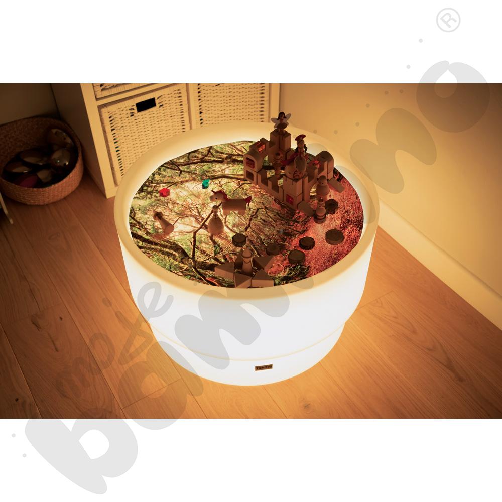 Plansza Odkrycia leśnego świata