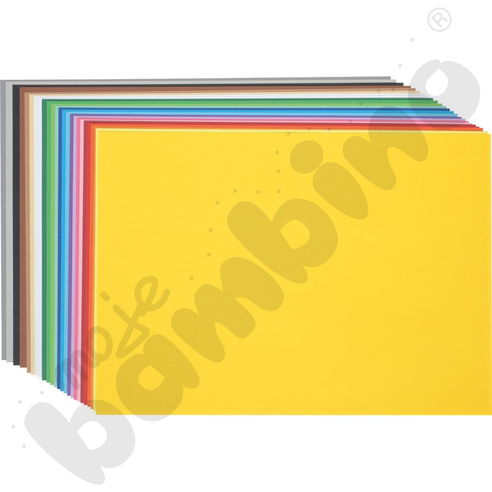 Karton gładki 25 arkuszy o wym. 25 x 35