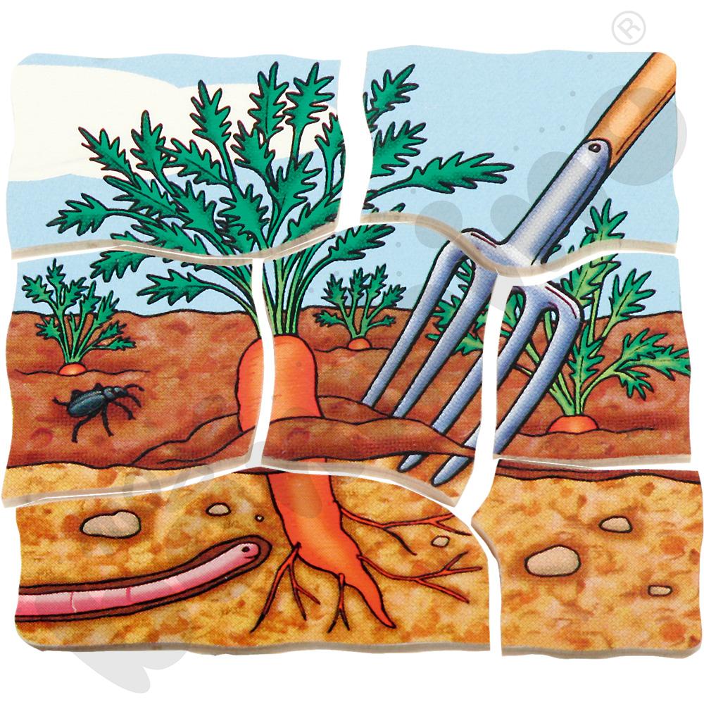 Edukacyjne puzzle warstwowe - marchew
