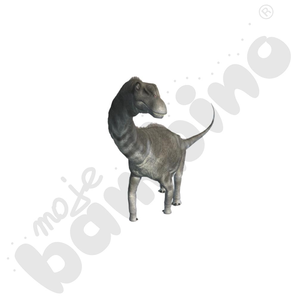 Aplikacja Corinth - pakiet 8 programów, pełna licencja