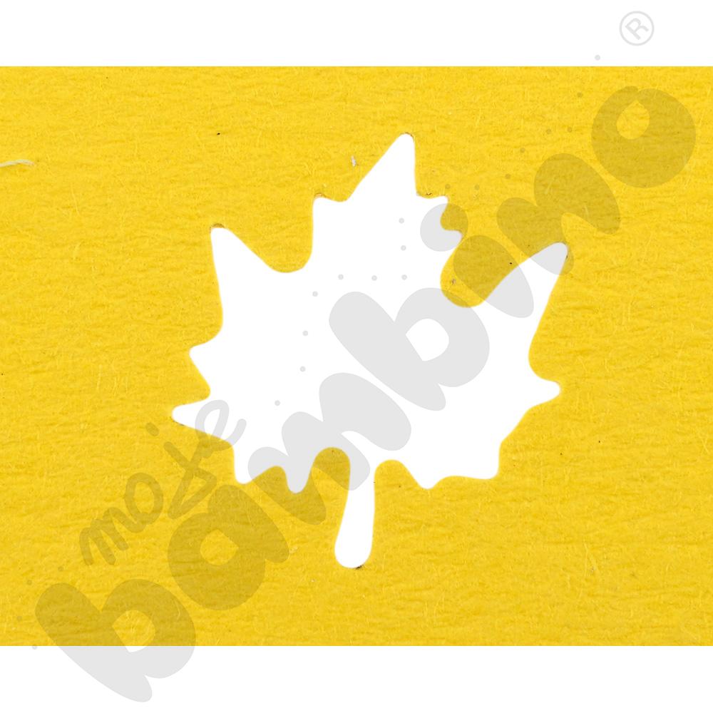 Dziurkacz średni liść klonu