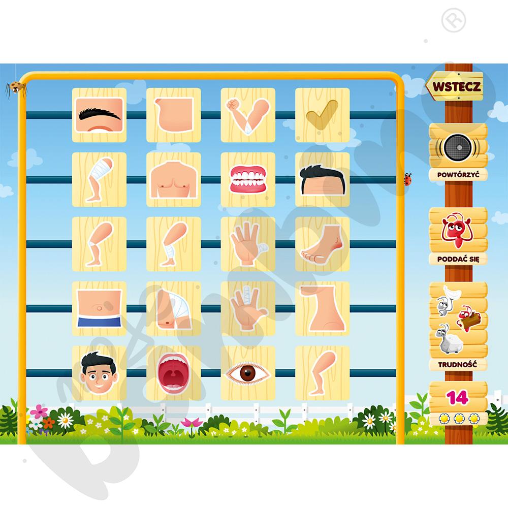 Sprytne kostki PL – program multimedialny