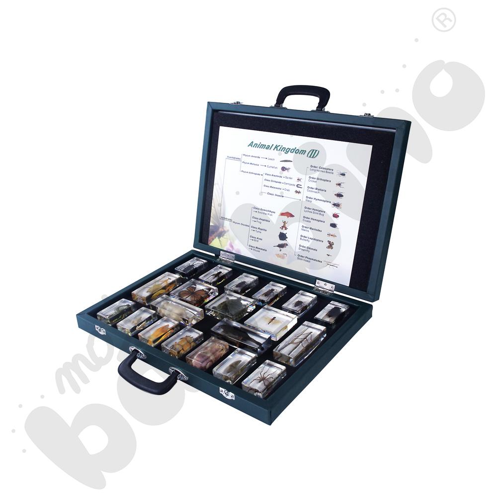 Królestwo zwierząt - kolekcja 20 okazów