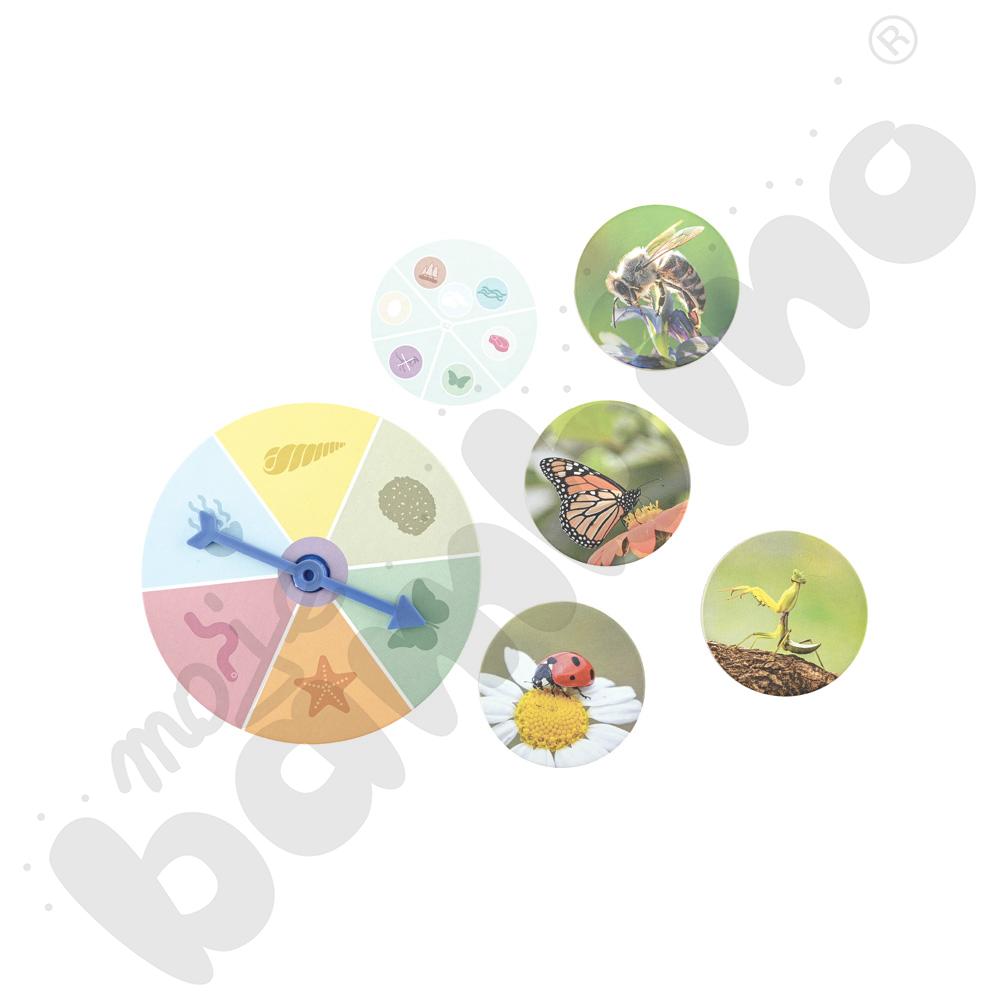 Odkrywamy świat zwierząt - gra