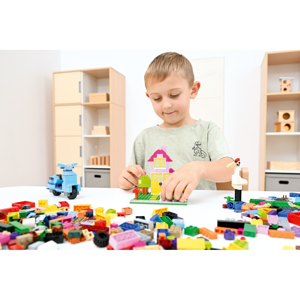 LEGO® Large Creative Brick Set