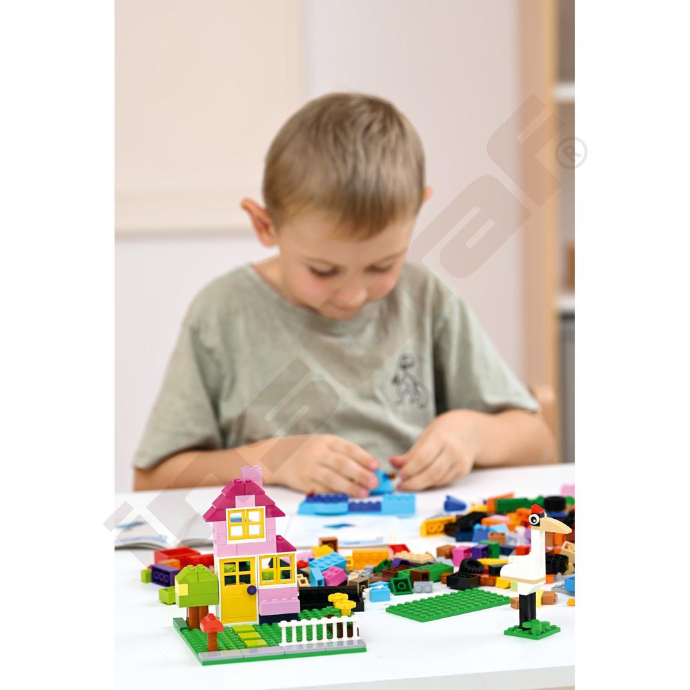 LEGO® Large Creative Brick Set