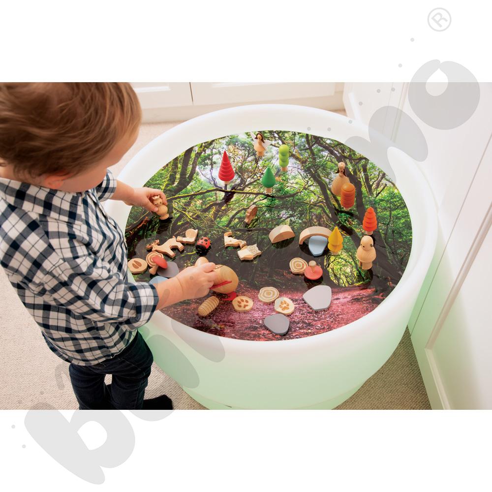 Plansza Odkrycia leśnego świata