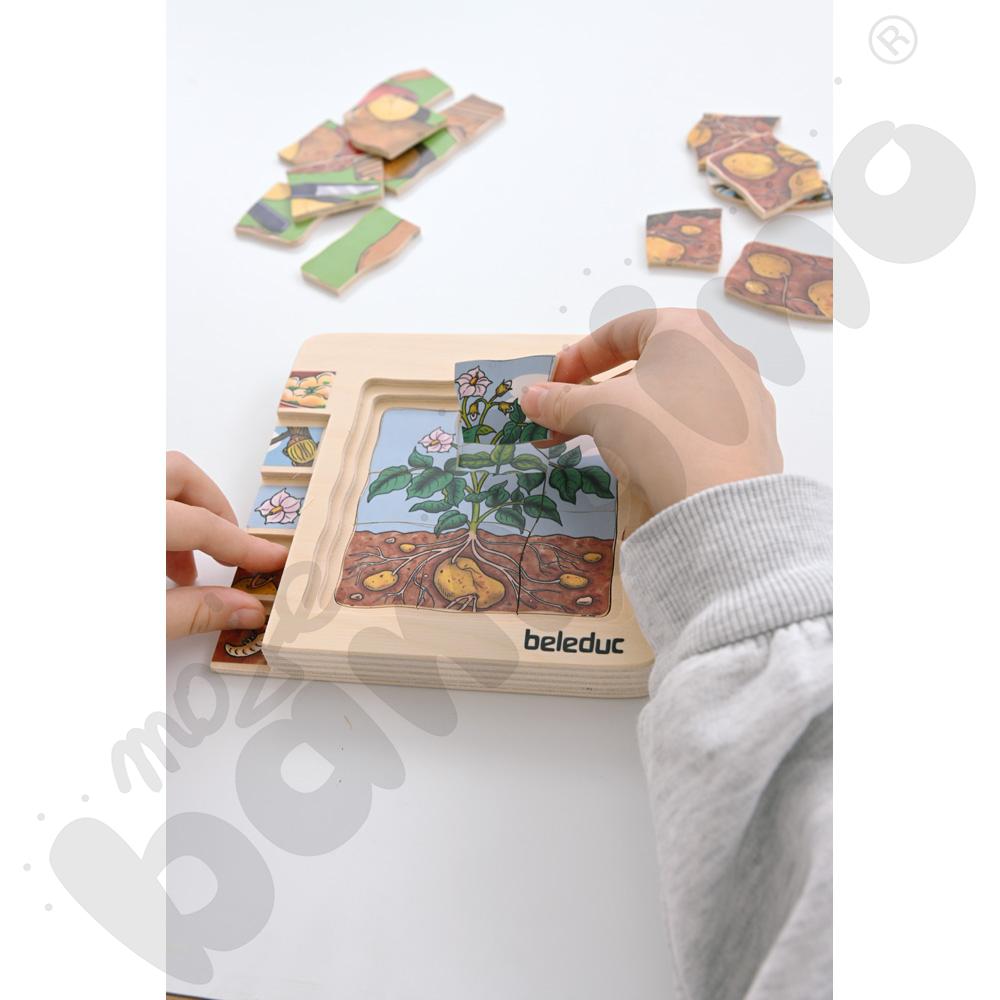 Edukacyjne puzzle warstwowe - ziemniaki