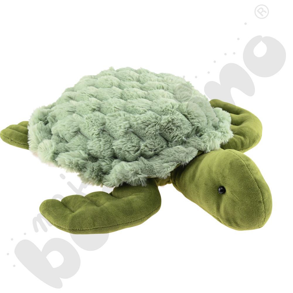 Obciążeniowy żółw