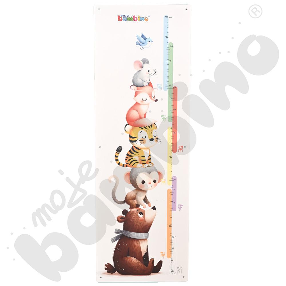 Miarka wzrostu z rozmiarami krzeseł