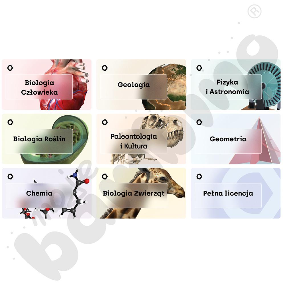 Aplikacja Corinth - pakiet 8 programów, pełna licencja