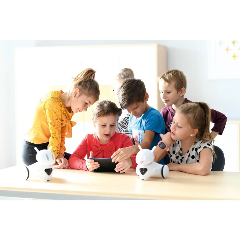 Programmieren, Lernroboter