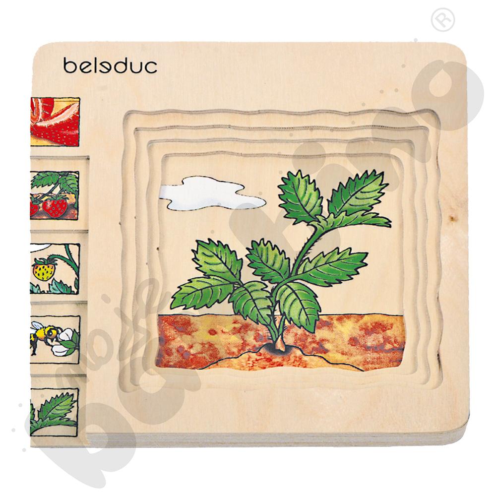 Edukacyjne puzzle warstwowe - truskawka