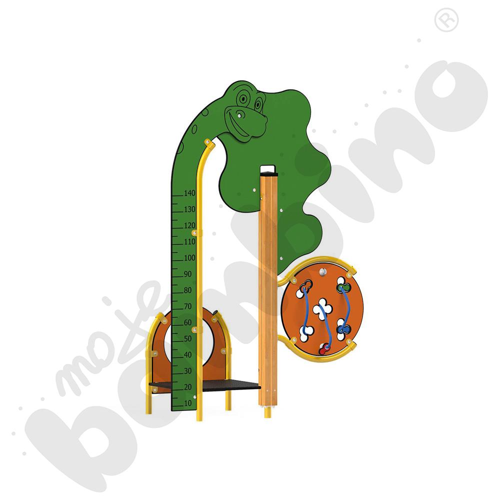 Dino - miarka wzrostu