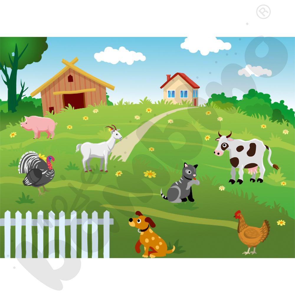 Pakiet EduPrzedszkole do Magicznego Dywanu 4.0