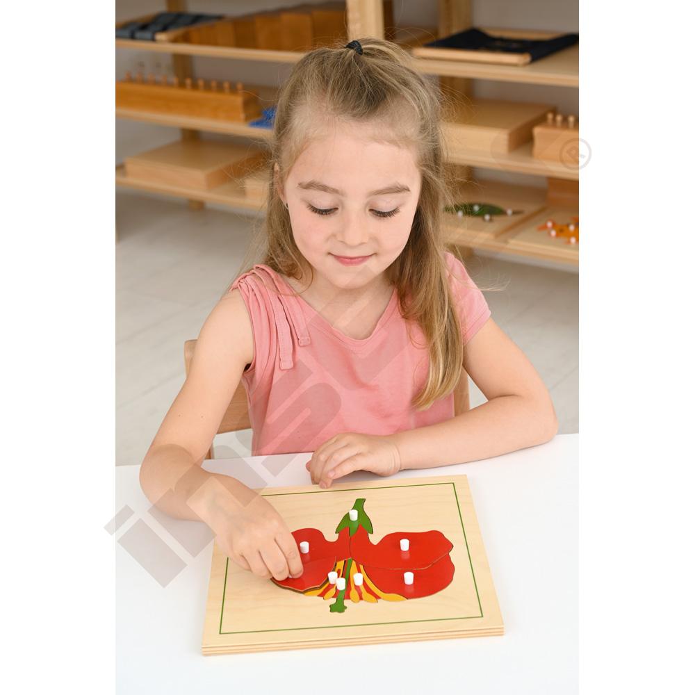 Botanické puzzle - květ
