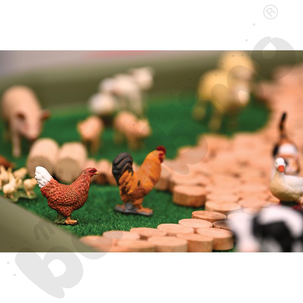 Zwierzęta podwórkowe - zestaw