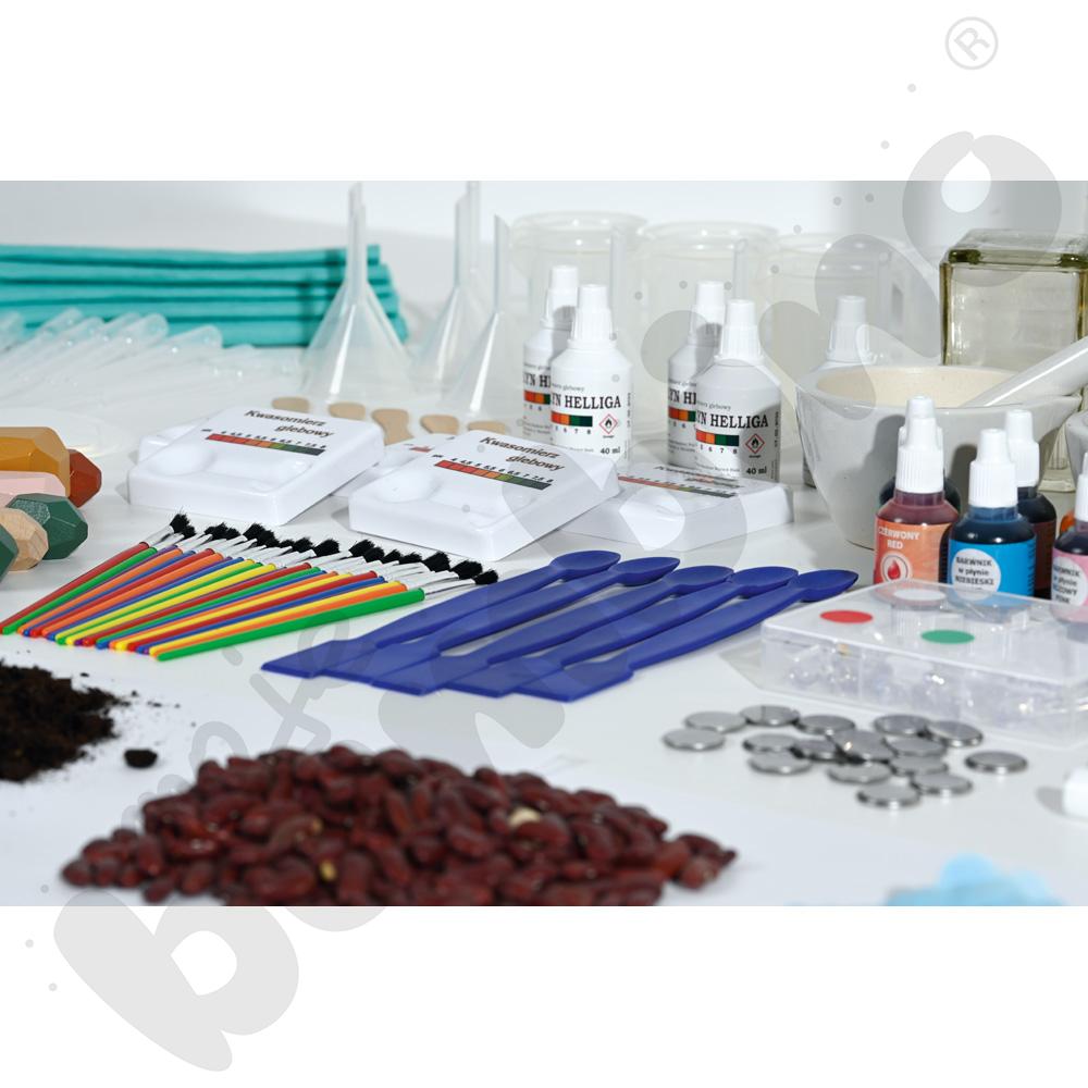 Cztery pory roku. Zestaw STEAM