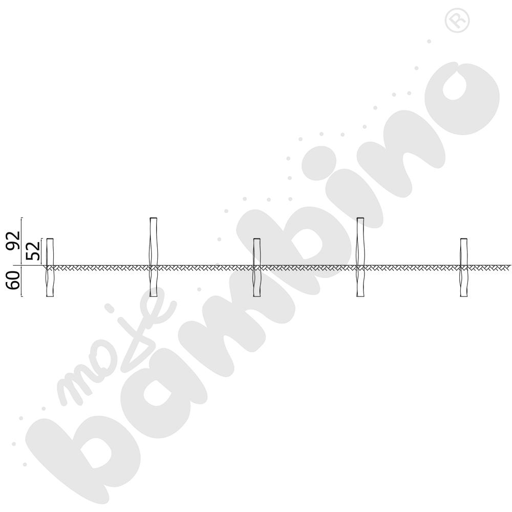 Robinio - płotki do przeskoków