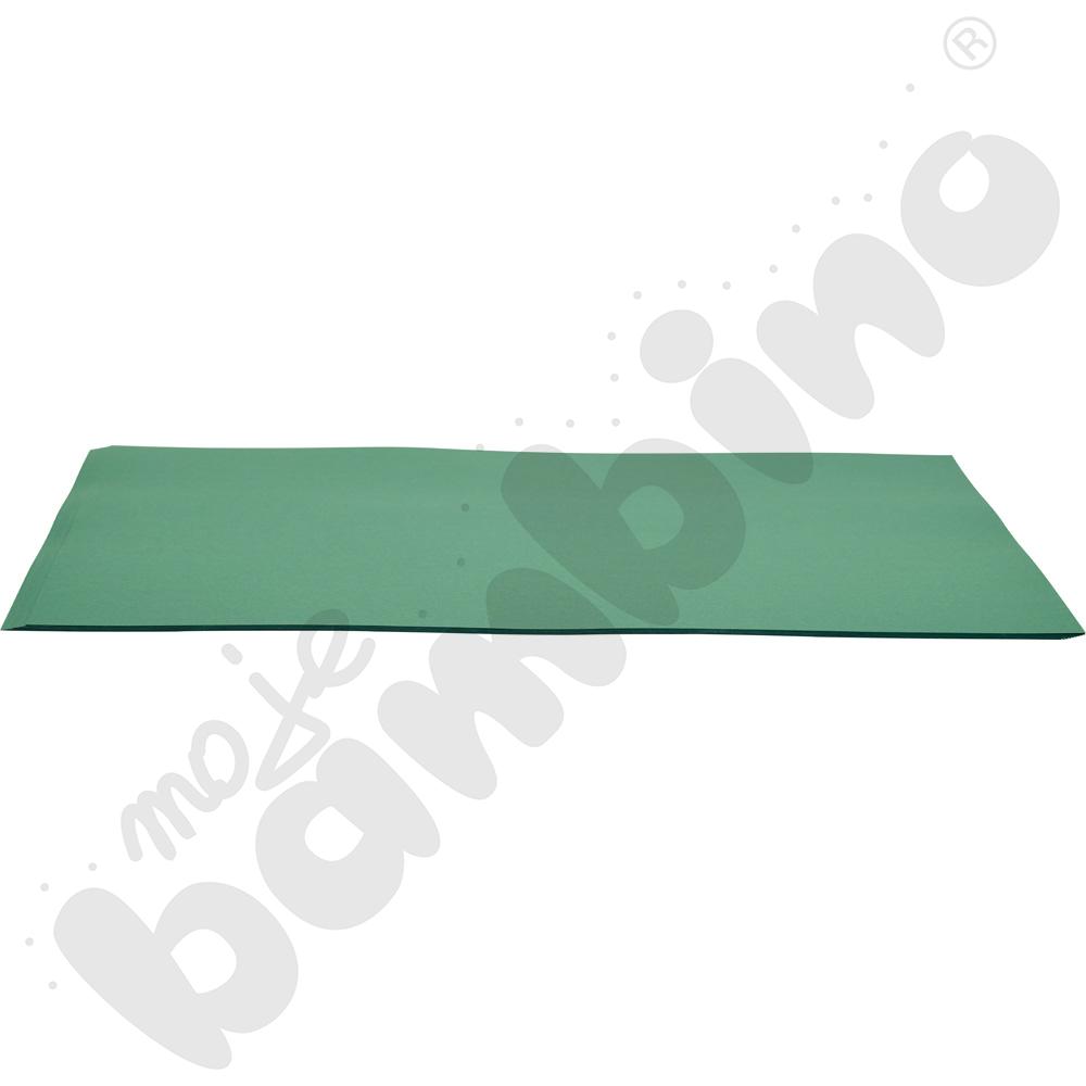   Brystol 10 arkuszy o wym. 50 x 70 cm ciemnozielony  