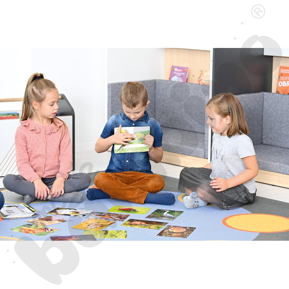 Zdjęcia - poznajemy zwierzęta