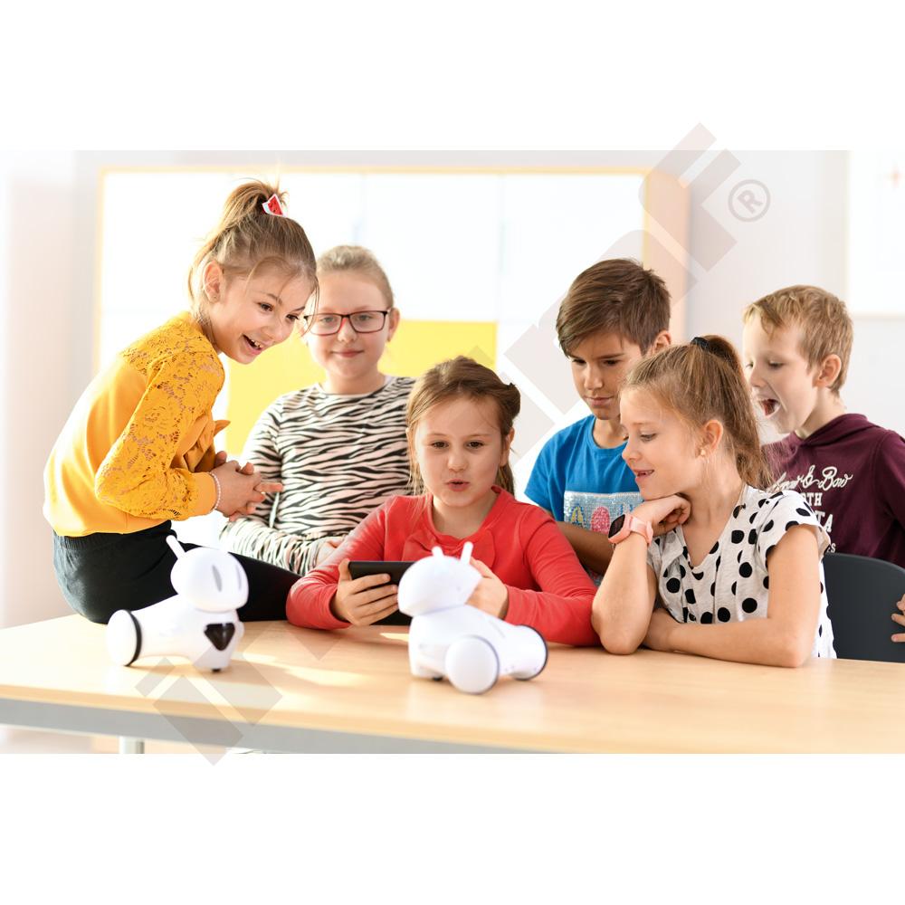 Robot Photon EDU