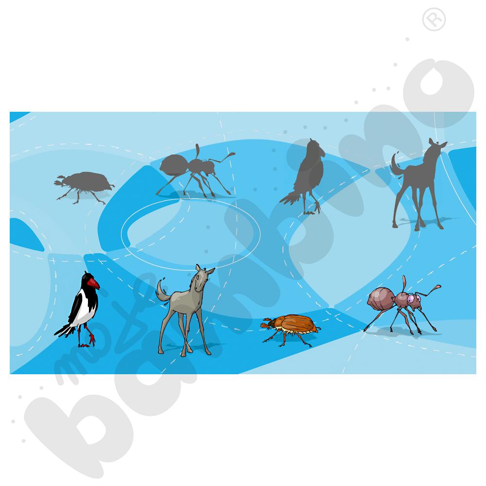 Eduterapeutica lux Logopedia Spectrum Rotacyzm