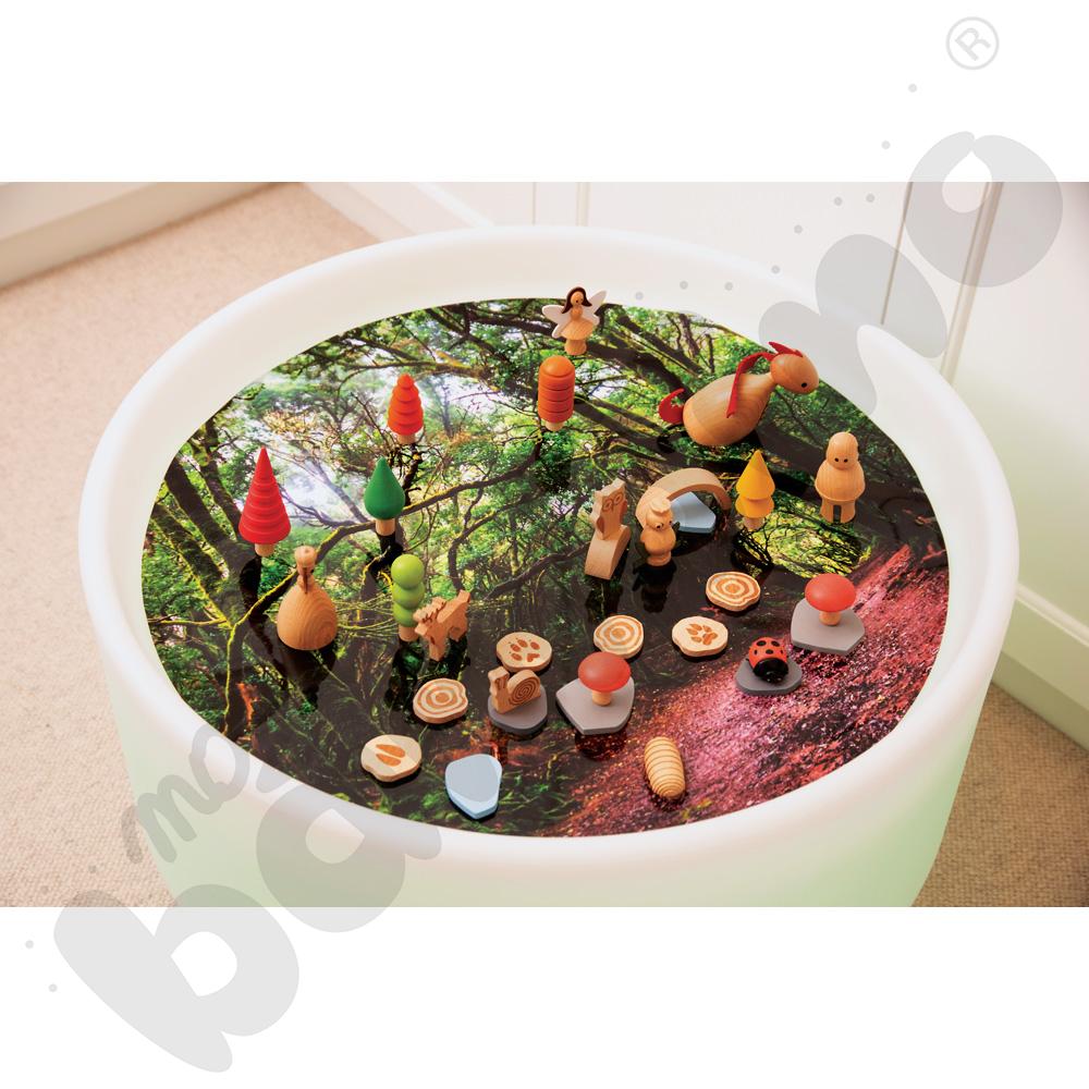 Plansza Odkrycia leśnego świata