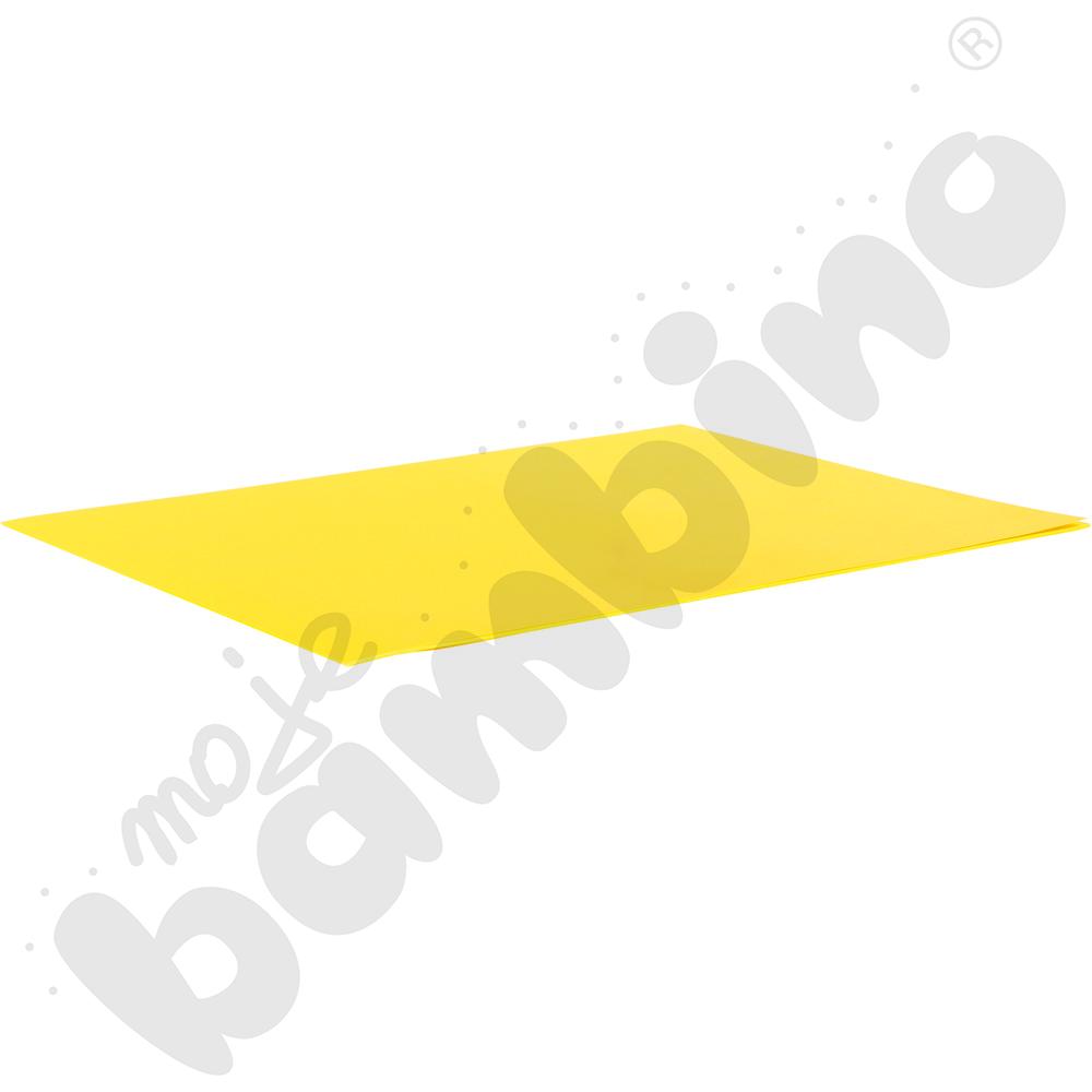 Karton fakturowy 10 arkuszy o wym. 50 x 70 cm żółty