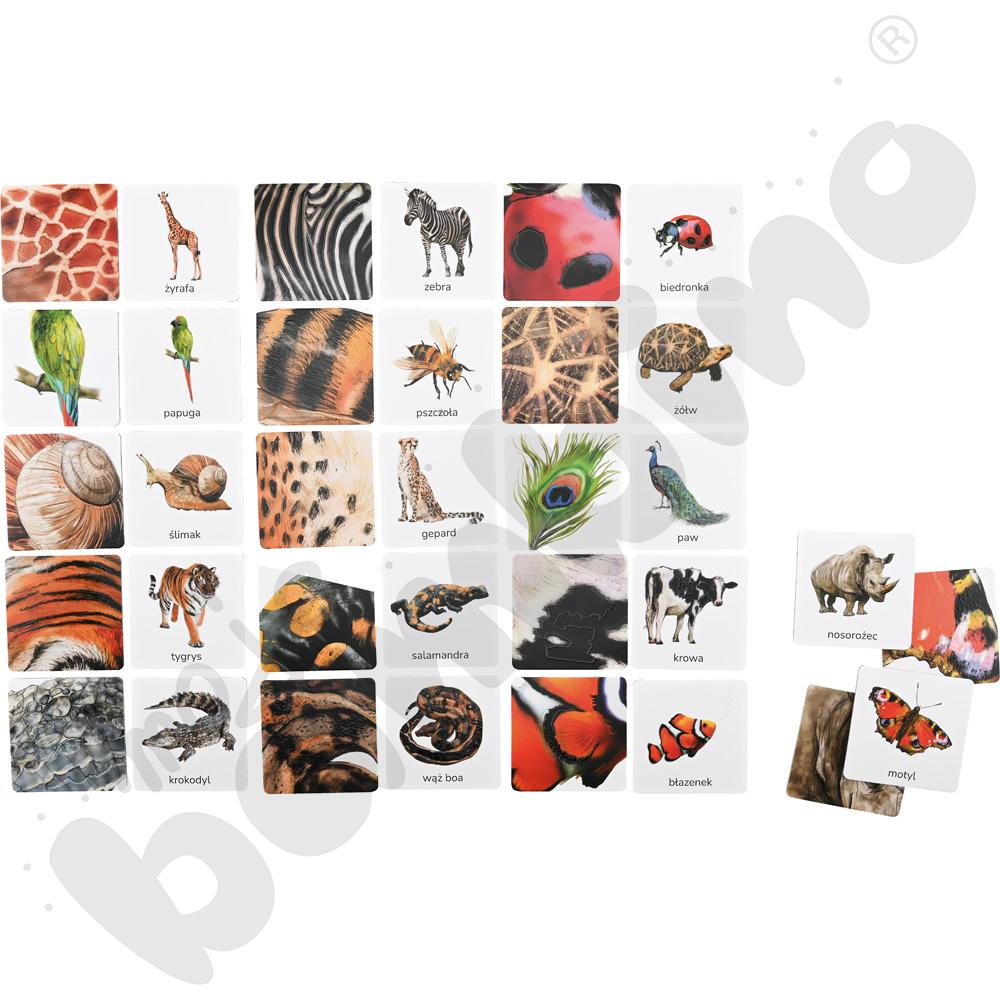 Zwierzęta tu i tam - karty sensoryczne z książeczką 