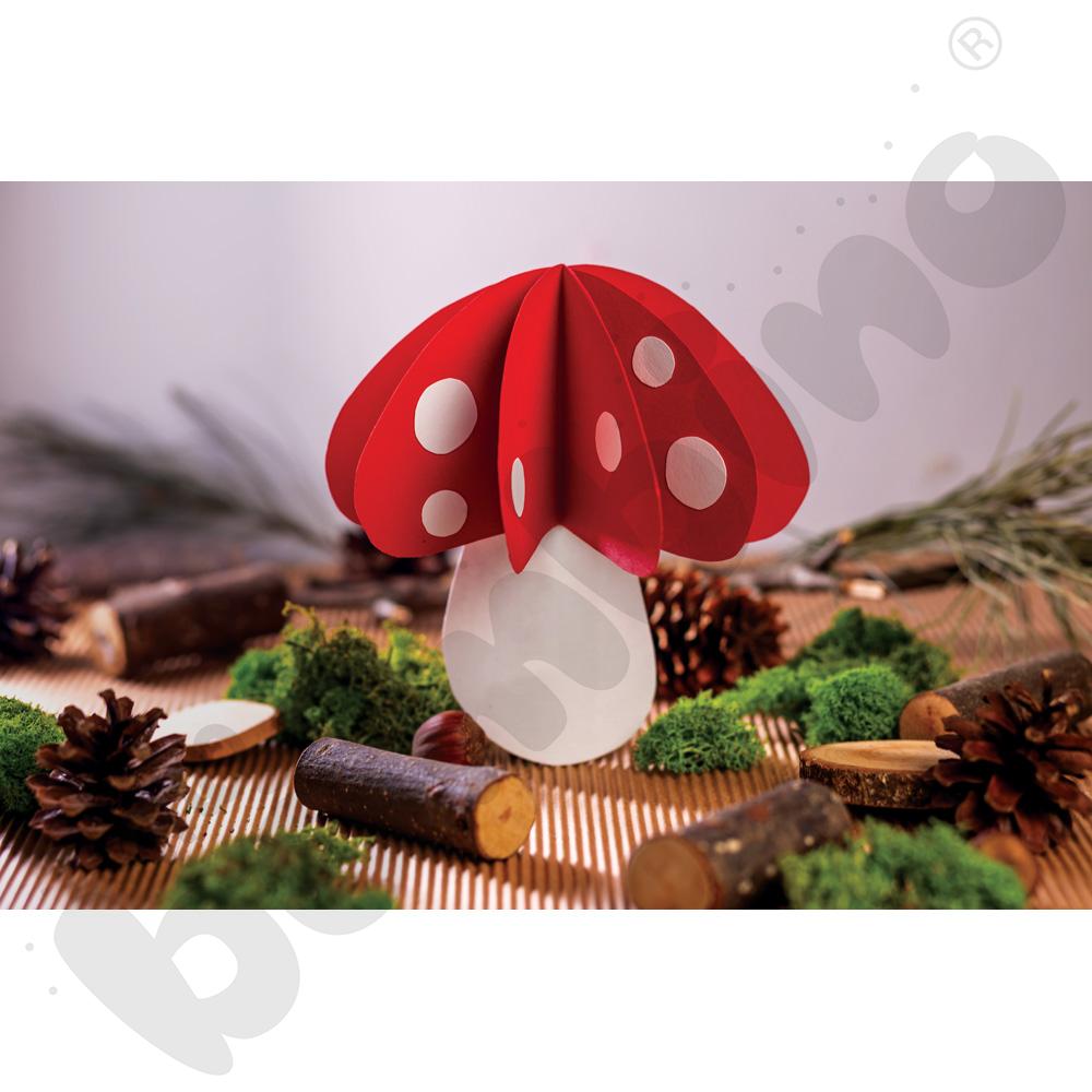 Karton gładki 25 arkuszy o wym. 50 x 70