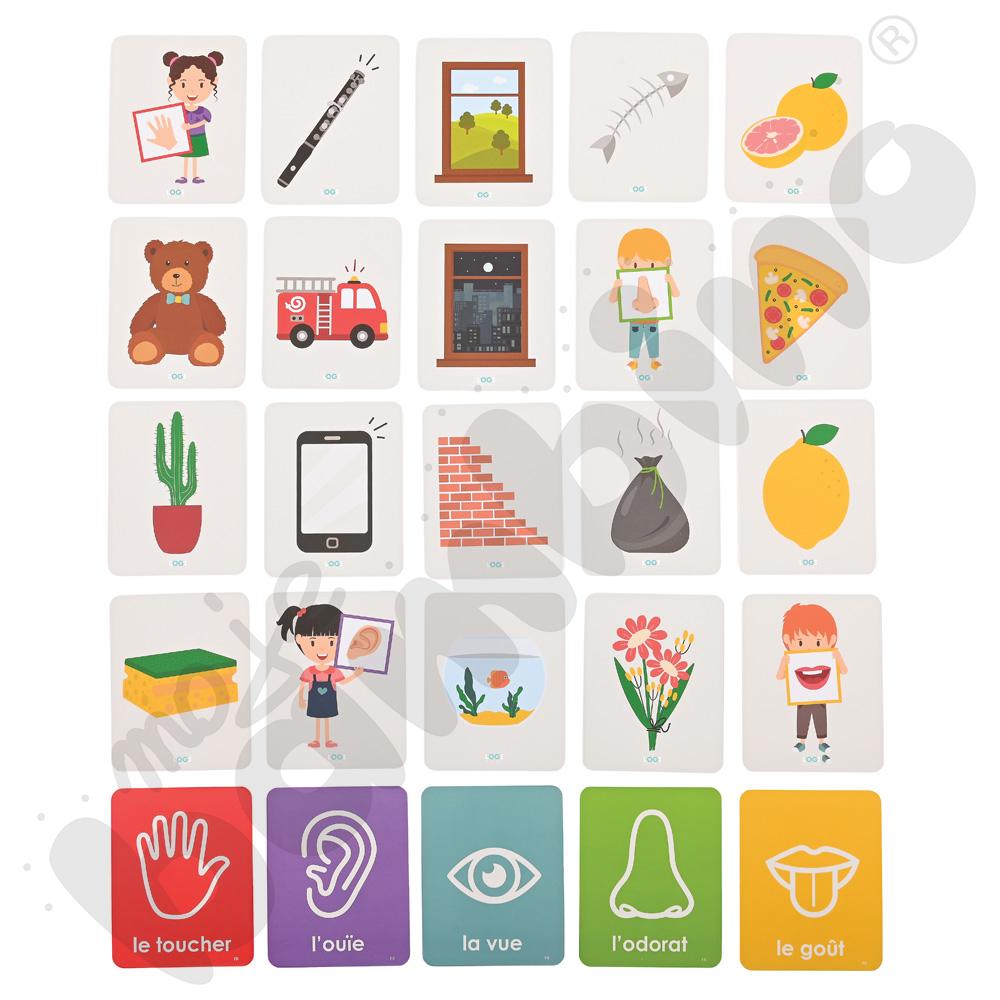 LOGI miniBot - zmysły - w języku francuskim