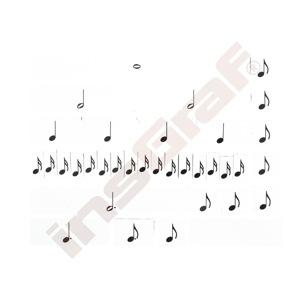 Hodnoty nôt - schéma