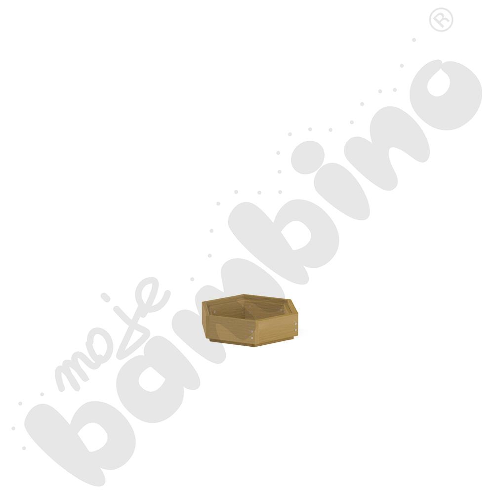 Sześciokąt sensoryczny Terra