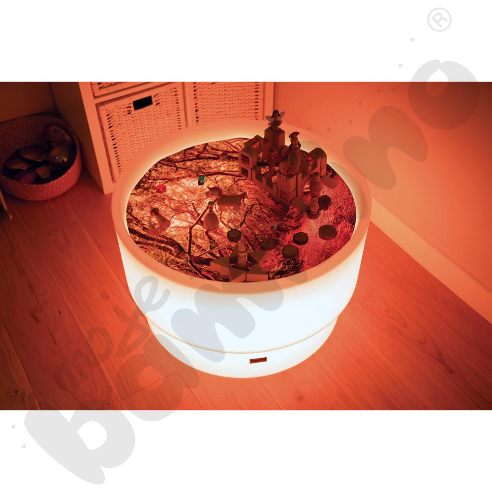 Plansza Odkrycia leśnego świata