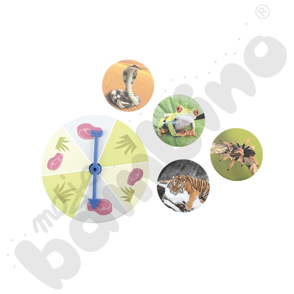 Odkrywamy świat zwierząt - gra