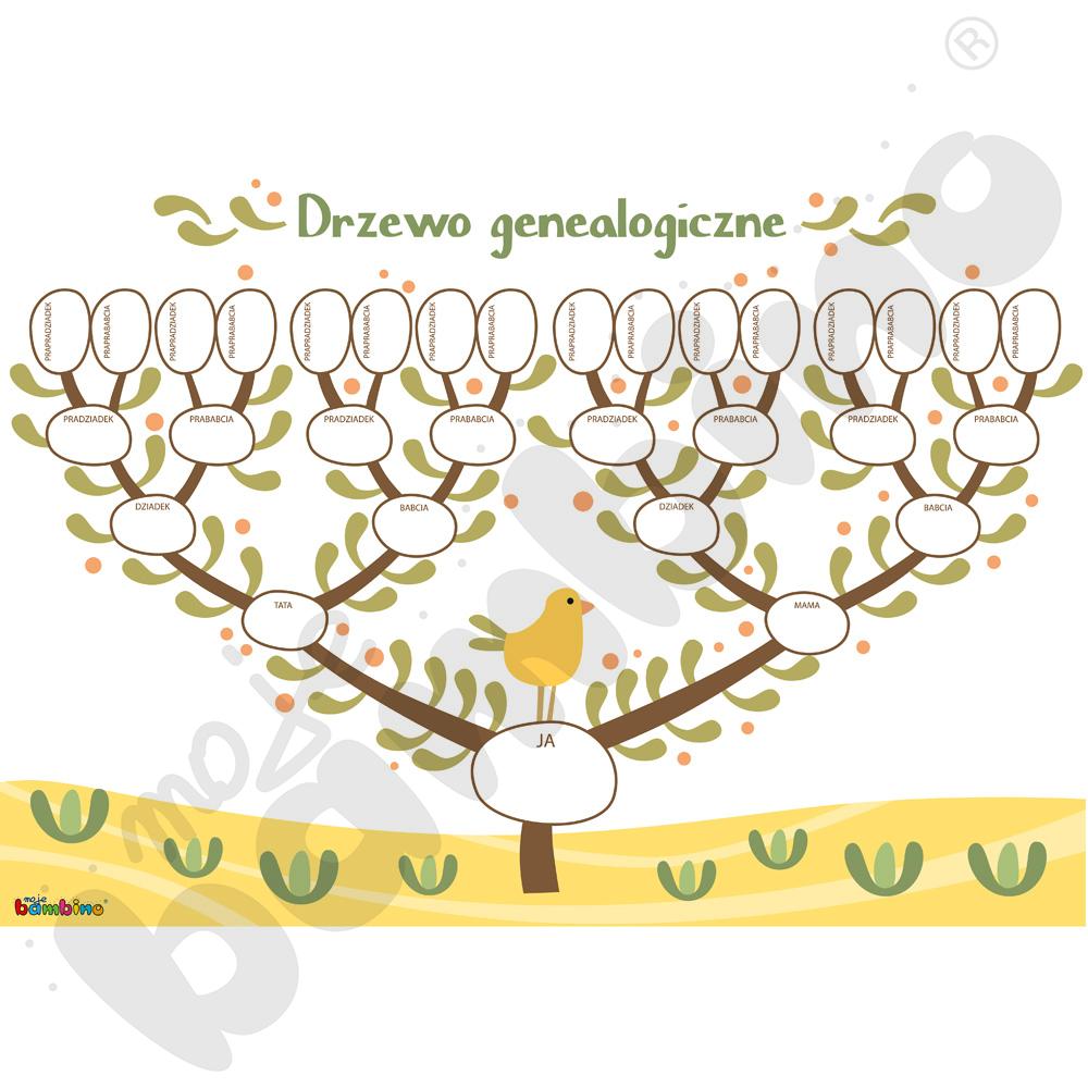 Drzewo genealogiczne