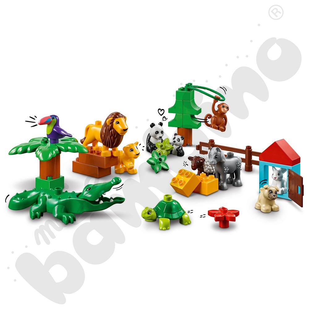 LEGO® DUPLO® Zwierzęta