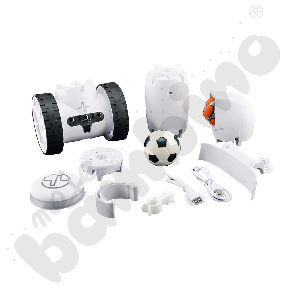 Fable Go - AI Interaktin Robot