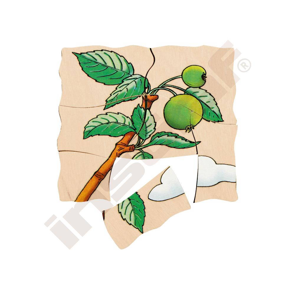 Edukační vícevrstvé puzzle - jablko