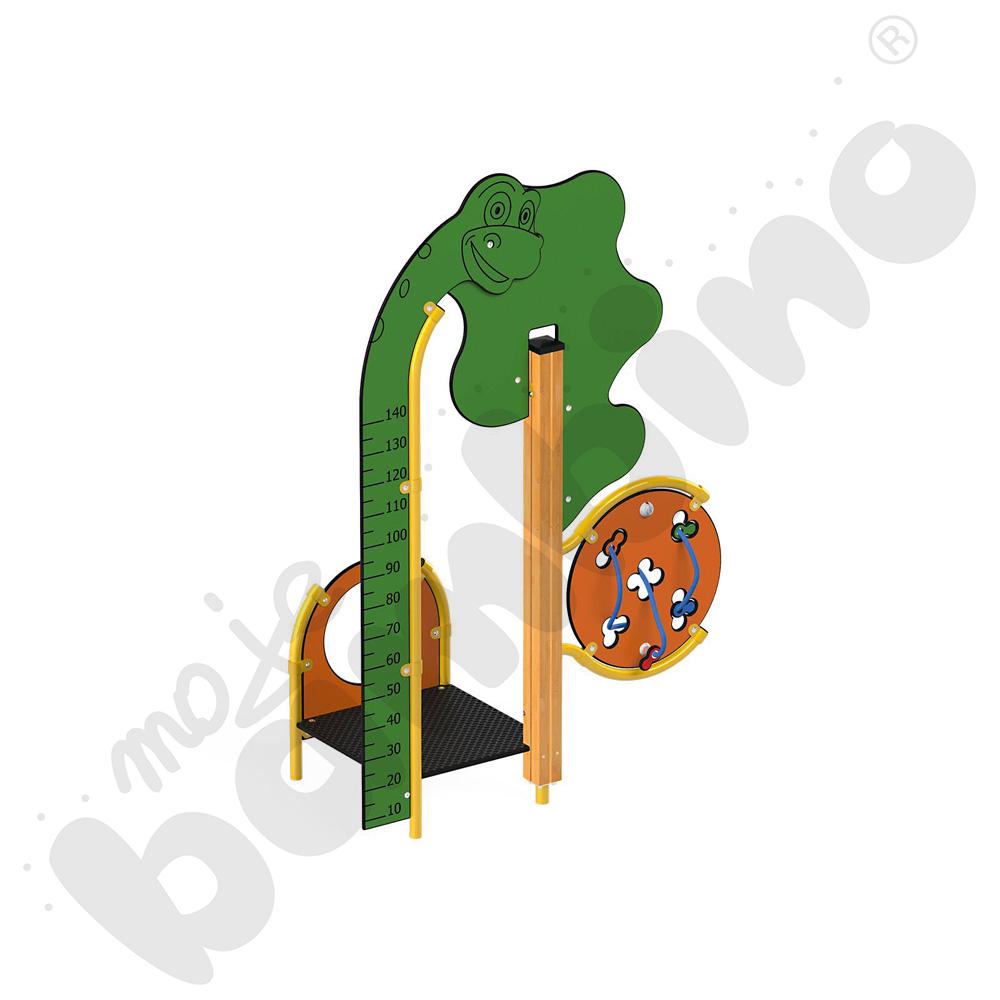 Dino - miarka wzrostu