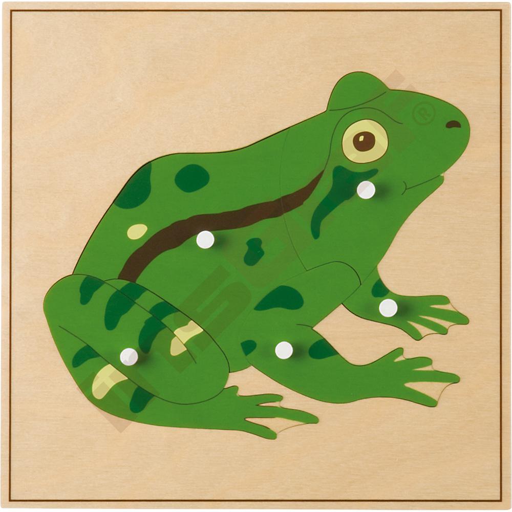 Dřevěné puzzle zvířata - žába