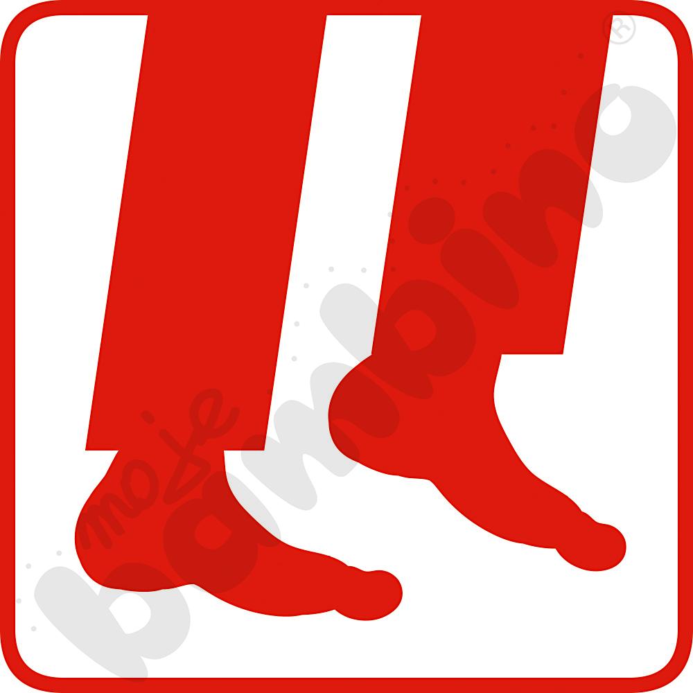 Pakiet Krok po kroku do Magicznego Dywanu 4.0 i Kinebi 5.0