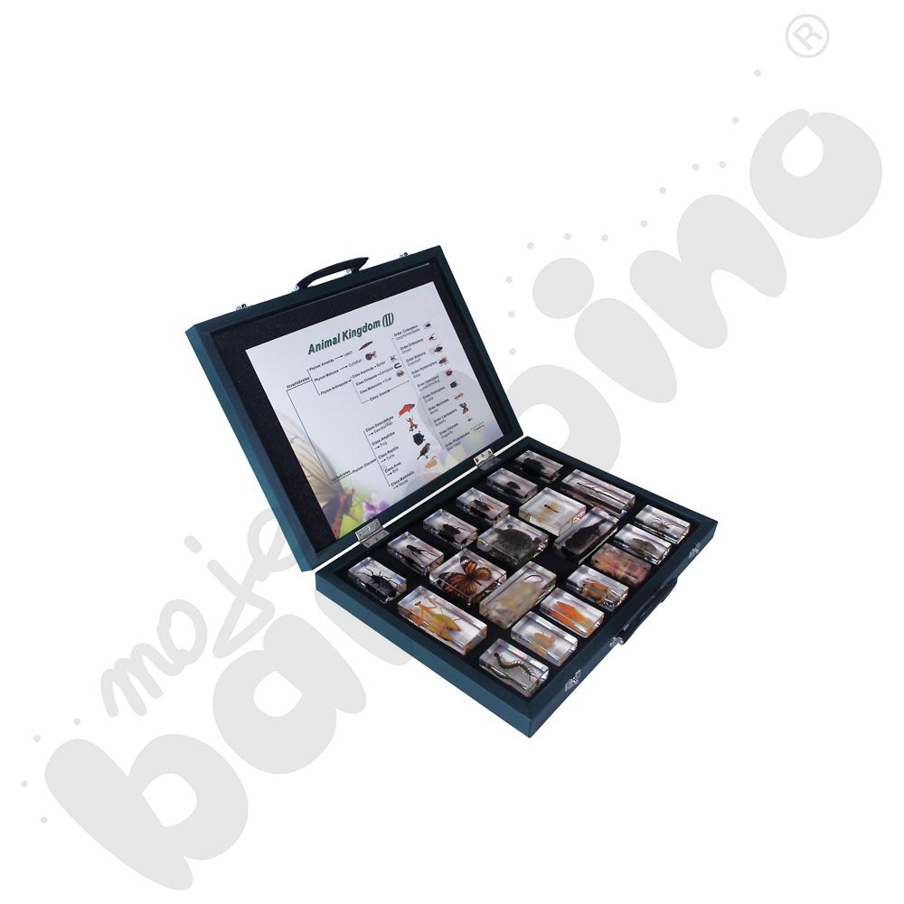 Królestwo zwierząt - kolekcja 20 okazów